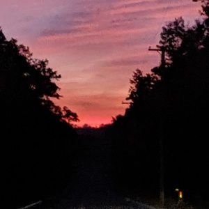 Meet your Posher, Michele